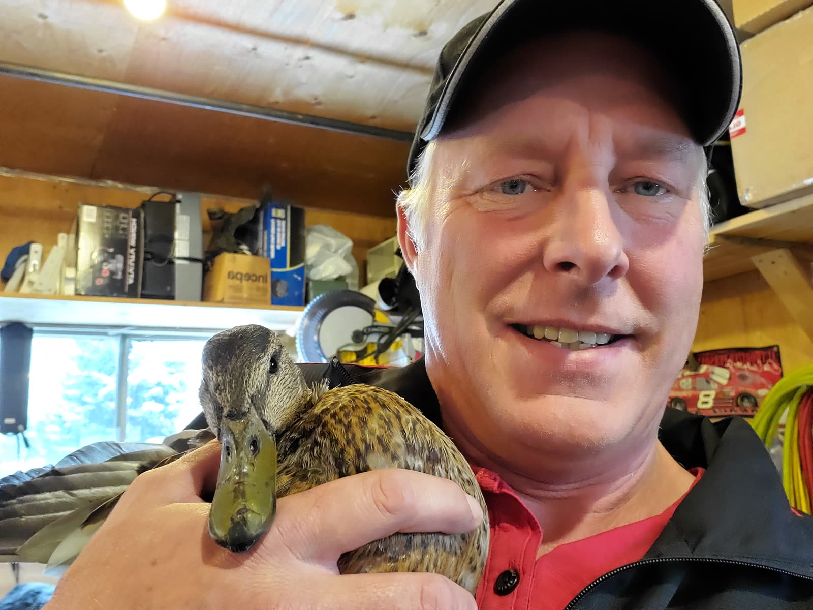 Derek in the shed holding a duck